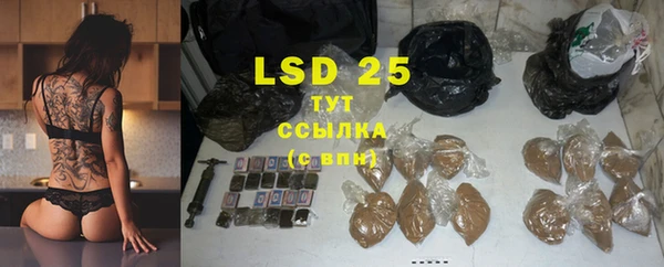PSILOCYBIN Алзамай