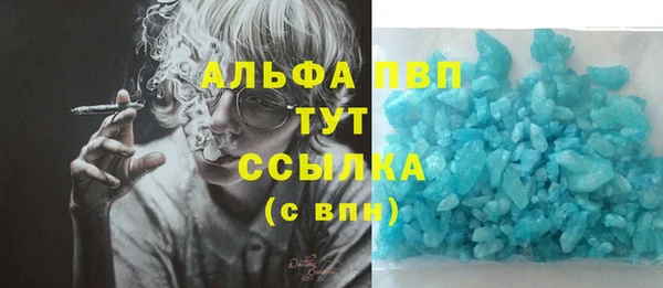 гашик Алексин