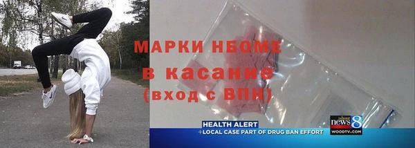 PSILOCYBIN Алзамай