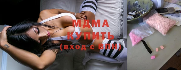 гашик Алексин