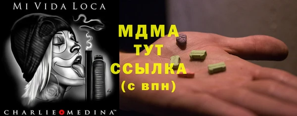 PSILOCYBIN Алзамай