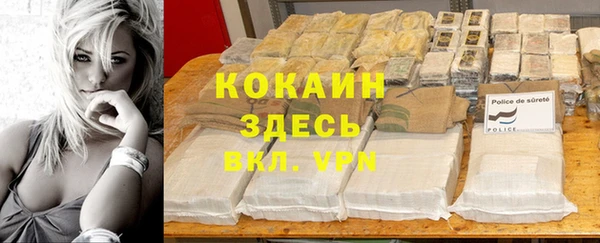 гашик Алексин