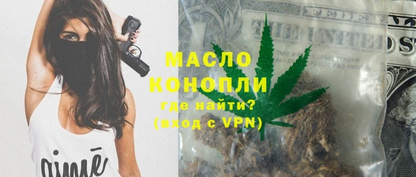 гашик Алексин