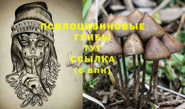 гашик Алексин