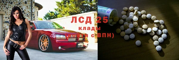 PSILOCYBIN Алзамай