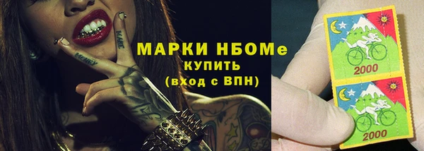 гашик Алексин
