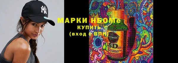 гашик Алексин